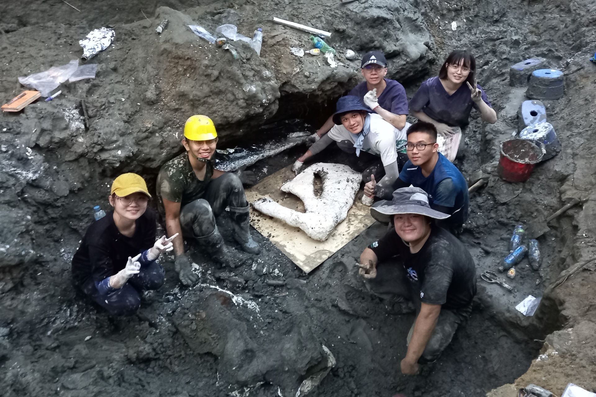 「鯨」奇發現　成大師生團隊與科博館協力挖出台灣史上最完整鯨魚化石