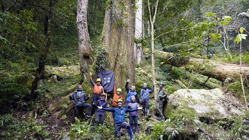 【SDG15】「找樹的人-巨木地圖計畫」第五次成果發表會來囉，熱烈報名中!