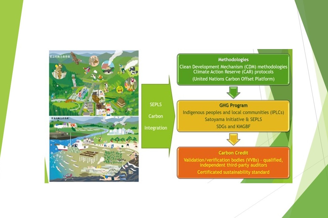國立成功大學領軍跨國「星地整合」計畫　建構「生物多樣性碳權」驗證體系　展現太空科技與永續治理新典範